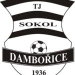 Sokol Dambořice