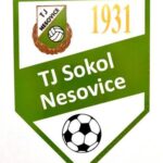 Sokol Nesovice