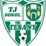 Sokol Těšany